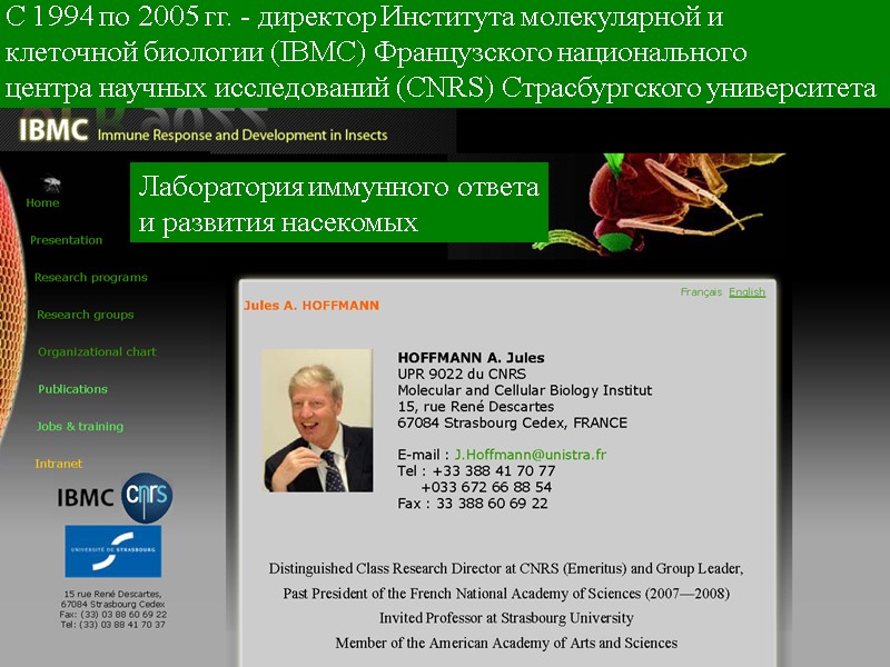 С 1994 по 2005 гг. - директор Института молекулярной и  клеточной биологии (IBMC)